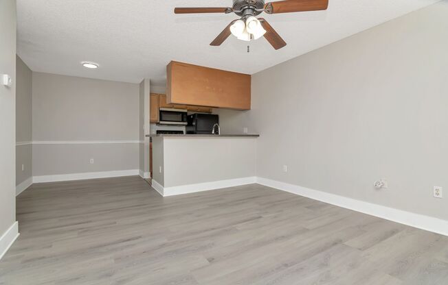 1/1 Condo with Lakeview