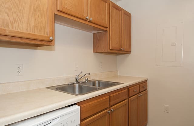 Counter space with sink and dishwasher
