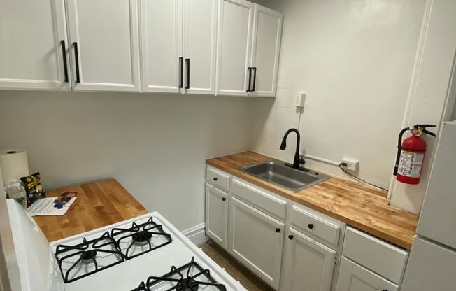 1 bed, 1 bath, 480 sqft, $1,900, Unit D08