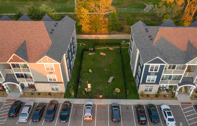 Aerial View Of The Dog Park