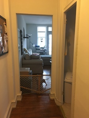 1 bed, 1 bath, 500 sqft, $1,395, Unit 301