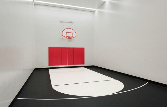 Basketball Court at The Tarnhill, Bloomington, MN, 55437
