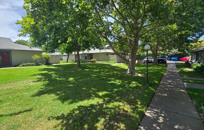 1 bed, 1 bath, 700 sqft, $1,425, Unit 50