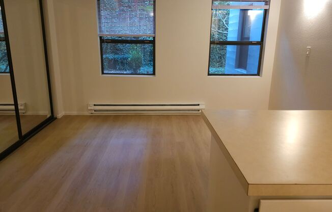 Studio, 1 bath, 495 sqft, $1,095, Unit 5