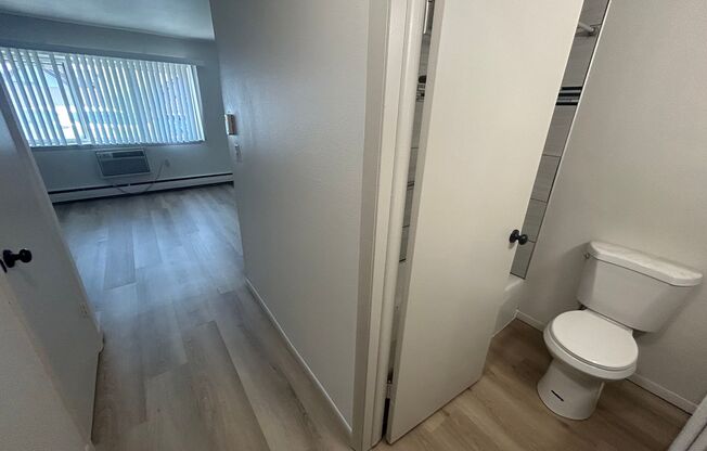 Studio, 1 bath, $850, Unit 105