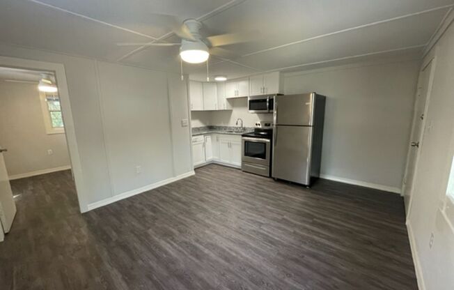 Newly Renovated 1 Bedroom, 1 Bathroom Apartment