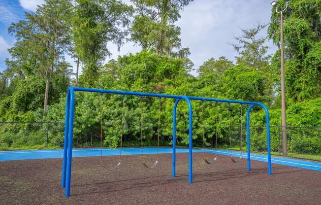 Playground at The Avenues of Baldwin Park in Orlando, FL