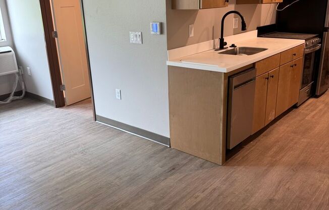 Studio, 1 bath, 458 sqft, $1,250, Unit 203
