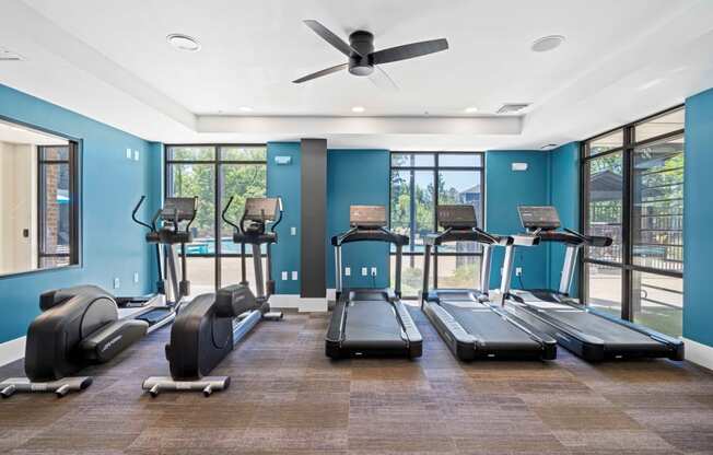 the gym has plenty of cardio equipment and windows