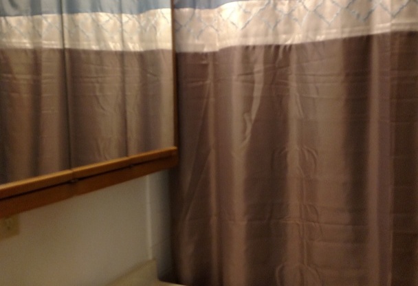 2 beds, 1 bath, 1,000 sqft, $1,419, Unit 2520 207