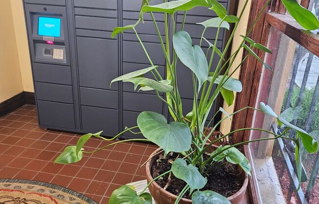 Studio, 1 bath, 337 sqft, $1,249, Unit 25