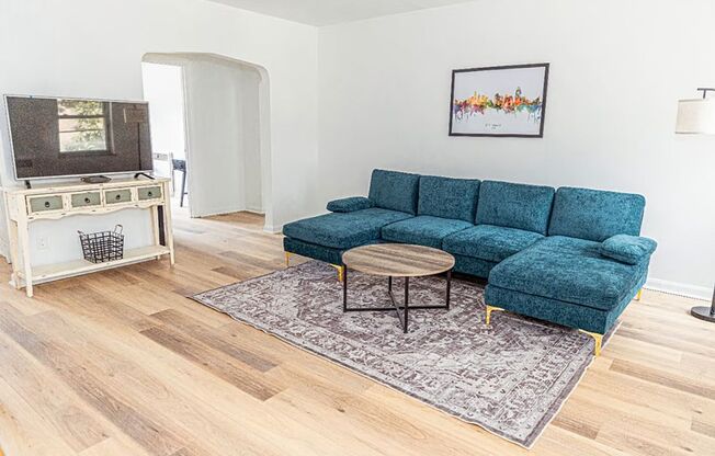 The Ascent Collection - The Local