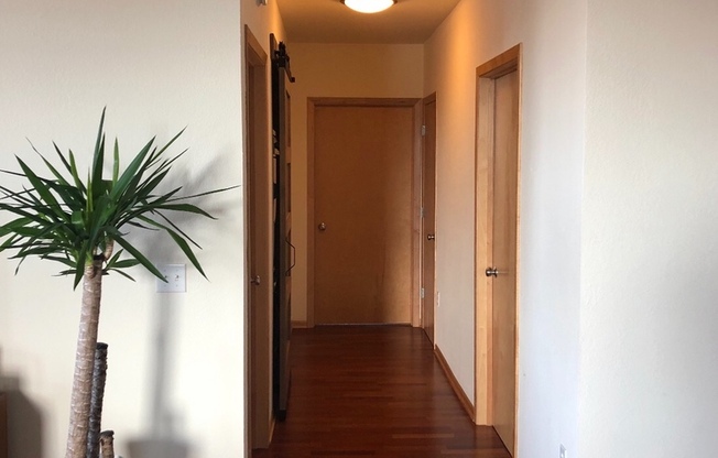 2 beds, 2 baths, 1,174 sqft, $2,500, Unit 301