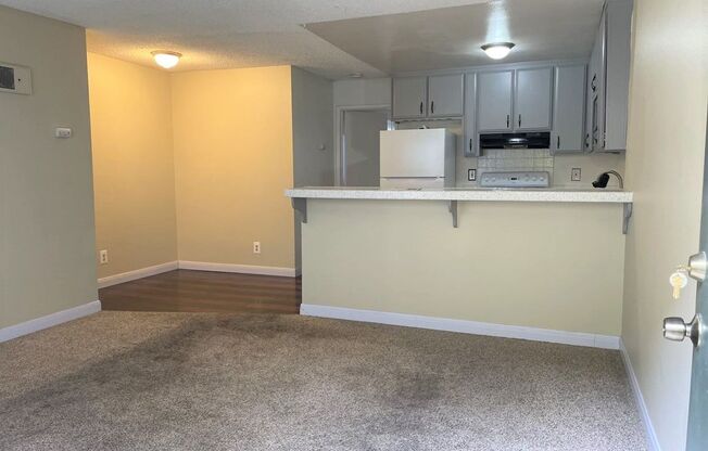 Spacious 1 bedroom 1 bathroom downstairs unit!!