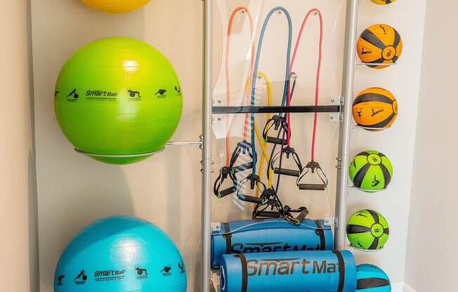 A room with a rack of exercise equipment and three exercise balls.