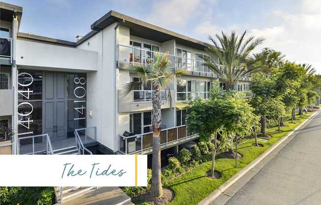 The Tides is a modern apartment complex with white buildings and palm trees at Marina Harbor, California, 90292