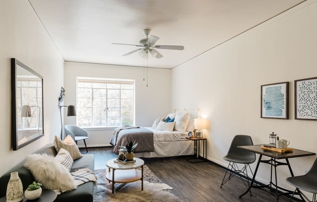 Cozy downtown studio with ample natural light
