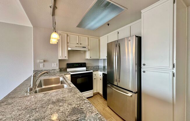 Stunning 2BD/2BA Condo in Downtown! With Parking and Washer/Dryer!