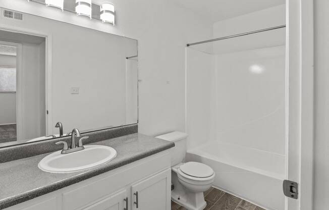 a bathroom with a sink and a toilet and a shower