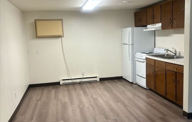 Studio, 1 bath, $620, Unit 102