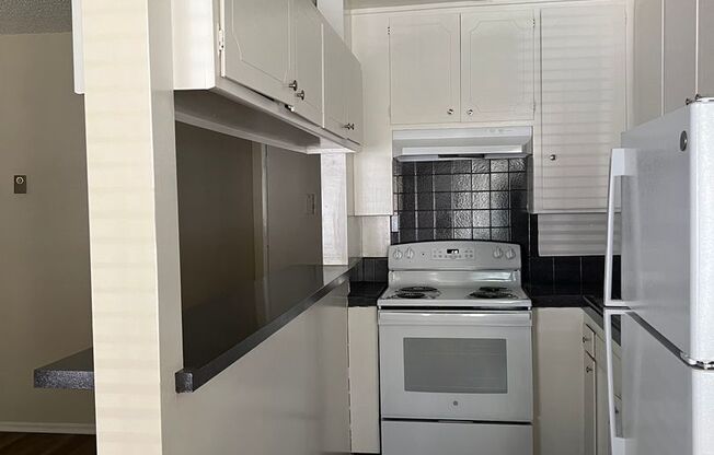 Studio, 1 bath, $1,495