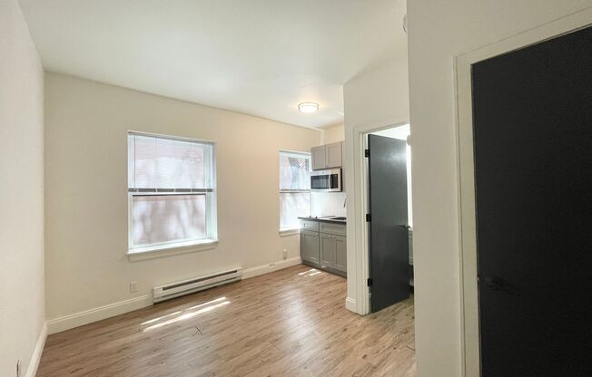 Studio, 1 bath, 249 sqft, $925, Unit 205