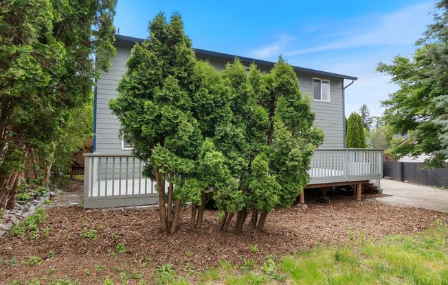 Beautiful Home in Winchester Hills