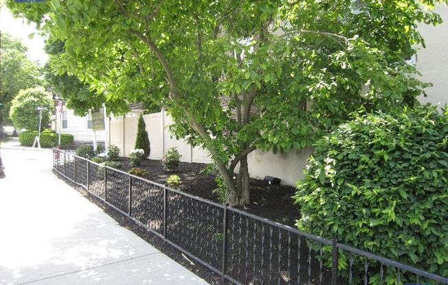 Spacious 1 bed - On Site Laundry - Walk to Whole Foods