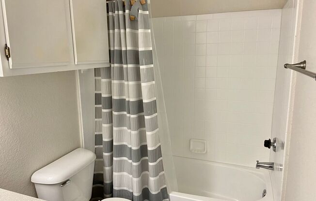 1 bed, 1 bath, 560 sqft, $1,395, Unit 8107