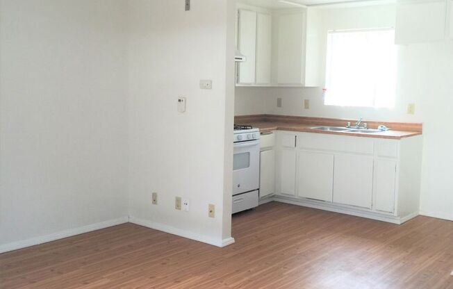 Studio, 1 bath, 350 sqft, $1,295, Unit 0011