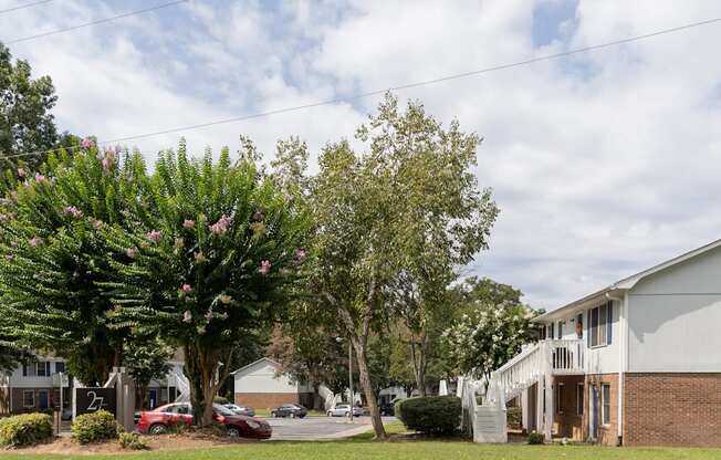 A tree with pink flowers is in front of a white house.