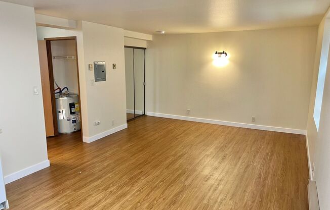 Studio, 1 bath, 393 sqft, $1,295, Unit 318
