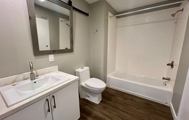 Studio, 1 bath, 232 sqft, $1,895, Unit 435-206