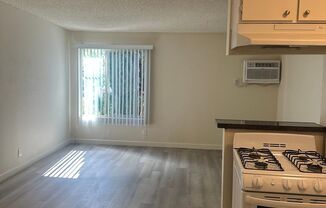 Studio, 1 bath, $1,350, Unit 28