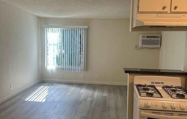 Studio, 1 bath, $1,350, Unit 28
