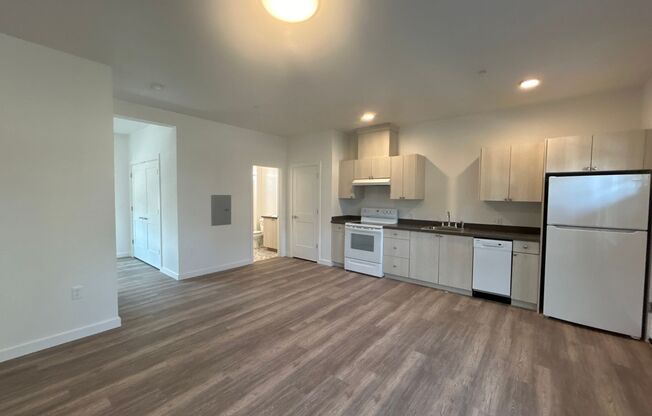 Studio, 1 bath, 639 sqft, $1,300