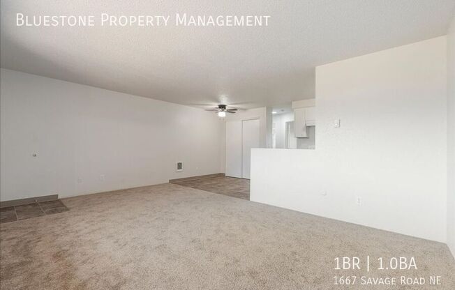 1667 SAVAGE RD NE