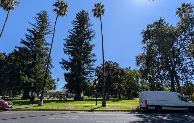 PARK