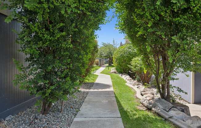 A tree-lined walkway with a gravel bed on the side.