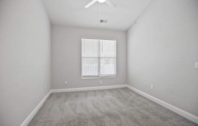 A room with a carpeted floor and a ceiling fan.