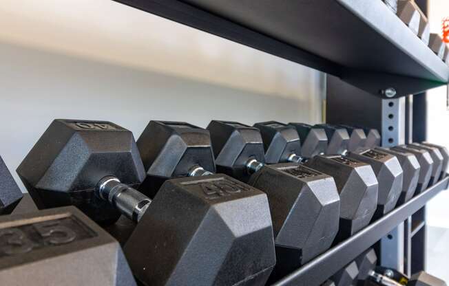 Free Weights at Heritage Apartments, Columbus