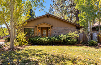 Delightful NOHO Rental
