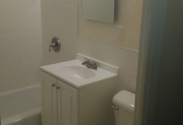 Studio, 1 bath, $750, Unit 110