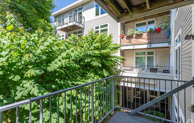 A balcony with a metal railing and a tree at 7 Cameron Apartments, Cambridge, Massachusetts
