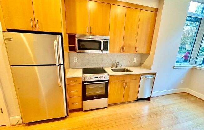 1 bed, 1 bath, $2,500, Unit 102