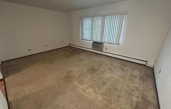 Studio, 1 bath, $875, Unit 206