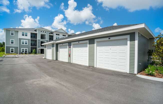 Garages at Palms at Magnolia Park in Riverview, FL