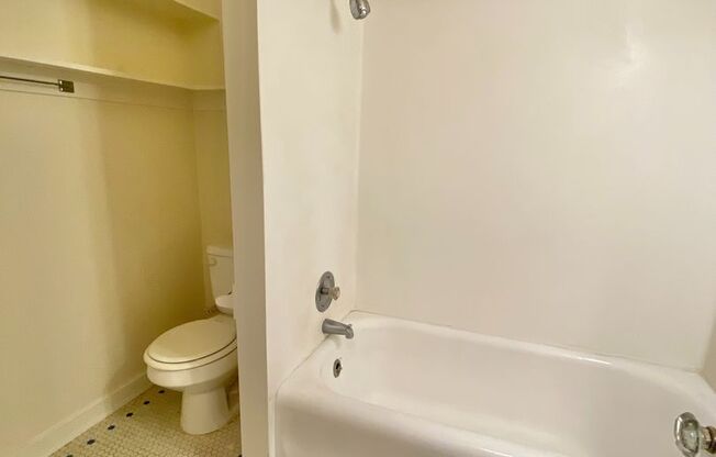 Studio, 1 bath, 425 sqft, $1,295, Unit 310