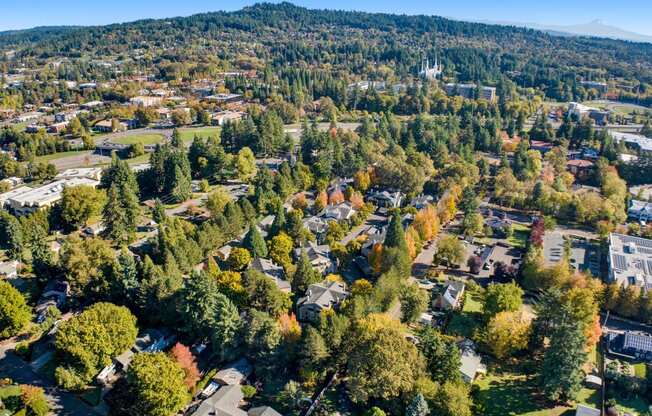 an aerial view of a neighborhood with trees and houses