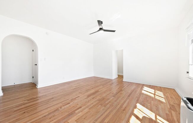 Studio, 1 bath, 510 sqft, $1,900, Unit 201